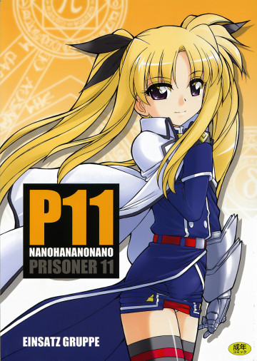 P11 NANOHANANONANO 